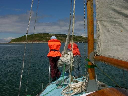 Jelly fish counting